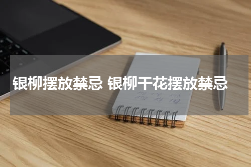 银柳摆放禁忌 银柳干花摆放禁忌