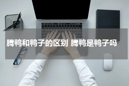 腾鸭和鸭子的区别 腾鸭是鸭子吗