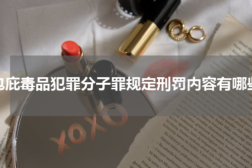 包庇毒品犯罪分子罪规定刑罚内容有哪些