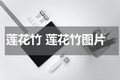 莲花竹 莲花竹图片