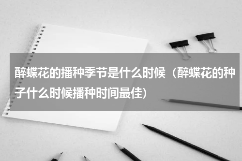 醉蝶花的播种季节是什么时候（醉蝶花的种子什么时候播种时间最佳）