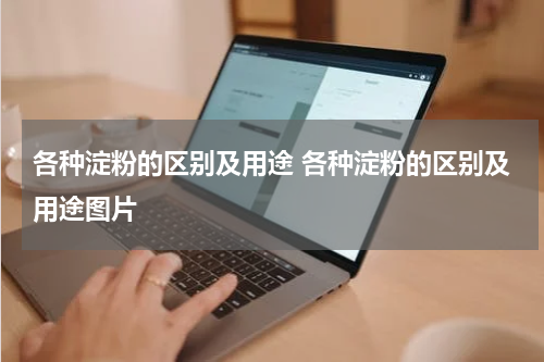 各种淀粉的区别及用途 各种淀粉的区别及用途图片