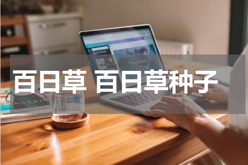 百日草 百日草种子