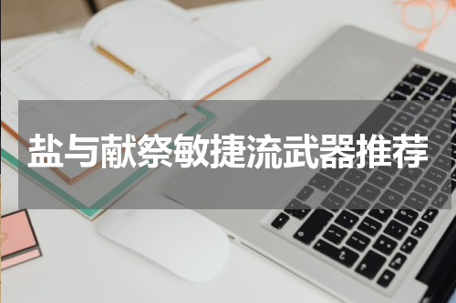 盐与献祭敏捷流武器推荐