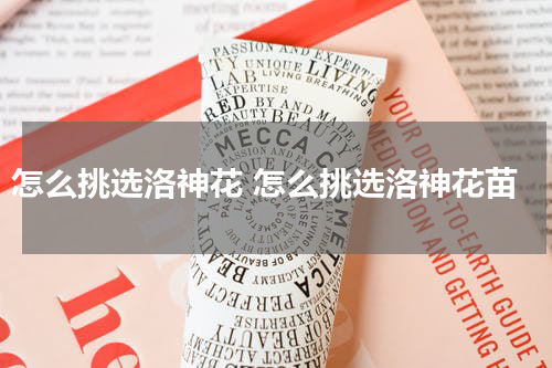 怎么挑选洛神花 怎么挑选洛神花苗