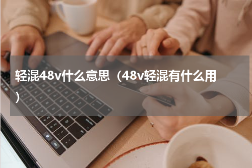 轻混48v什么意思（48v轻混有什么用）