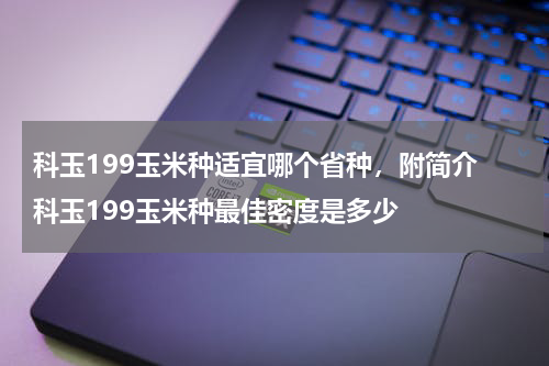科玉199玉米种适宜哪个省种，附简介 科玉199玉米种最佳密度是多少
