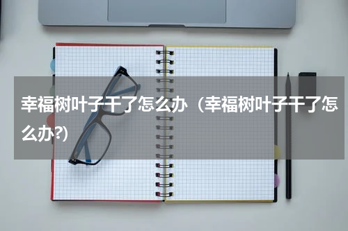 幸福树叶子干了怎么办（幸福树叶子干了怎么办?）