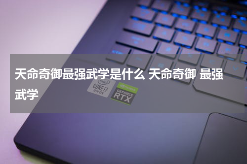 天命奇御最强武学是什么 天命奇御 最强武学
