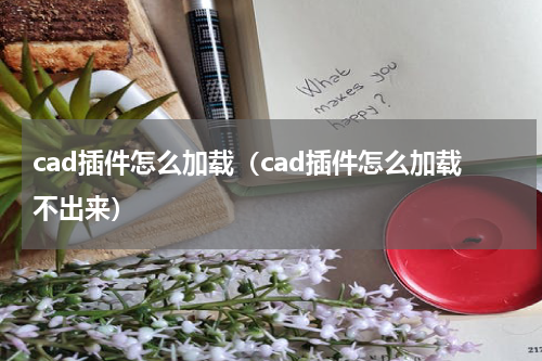 cad插件怎么加载（cad插件怎么加载不出来）
