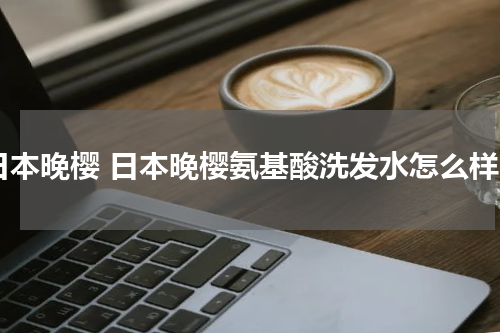 日本晚樱 日本晚樱氨基酸洗发水怎么样