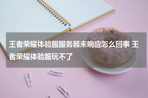 王者荣耀体验服服务器未响应怎么回事 王者荣耀体验服玩不了