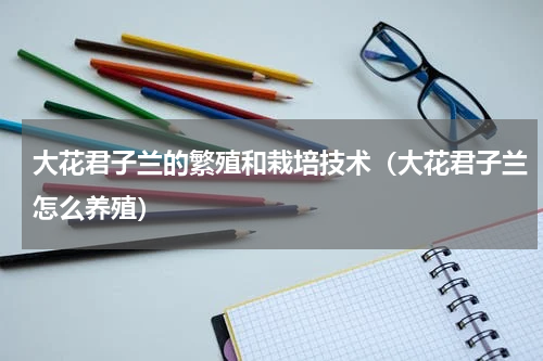 大花君子兰的繁殖和栽培技术（大花君子兰怎么养殖）