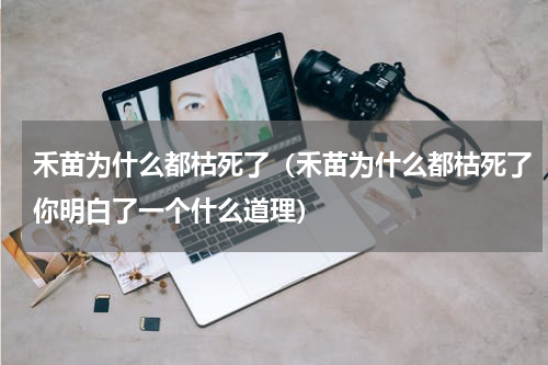 禾苗为什么都枯死了（禾苗为什么都枯死了你明白了一个什么道理）