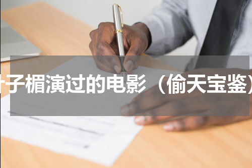 叶子楣演过的电影（偷天宝鉴）