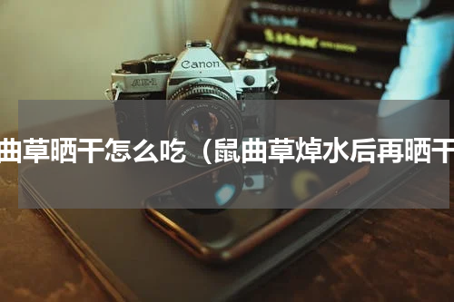 鼠曲草晒干怎么吃（鼠曲草焯水后再晒干）