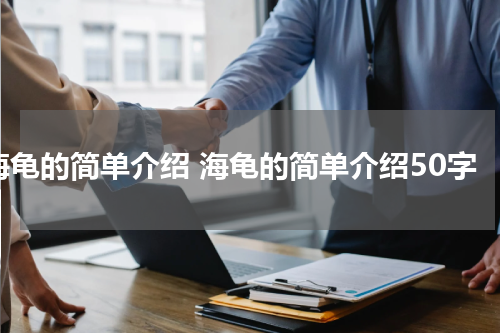 海龟的简单介绍 海龟的简单介绍50字