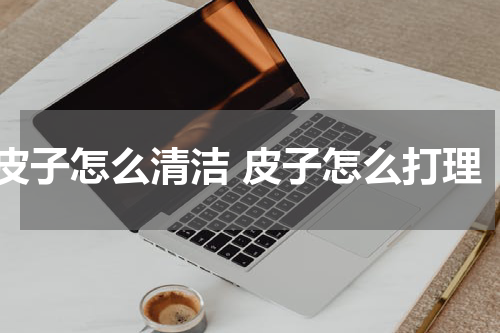 皮子怎么清洁 皮子怎么打理
