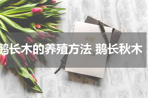 鹅长木的养殖方法 鹅长秋木