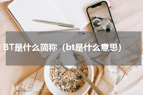 BT是什么简称（bt是什么意思）