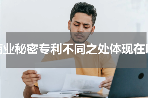 商业秘密专利不同之处体现在哪
