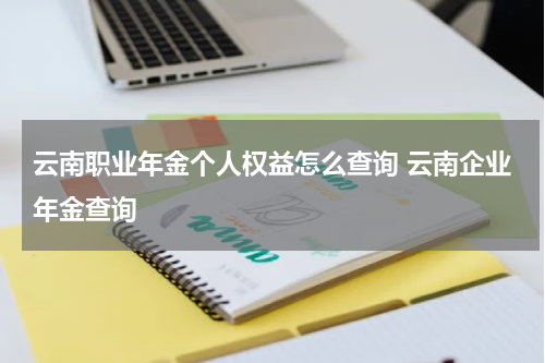 云南职业年金个人权益怎么查询 云南企业年金查询