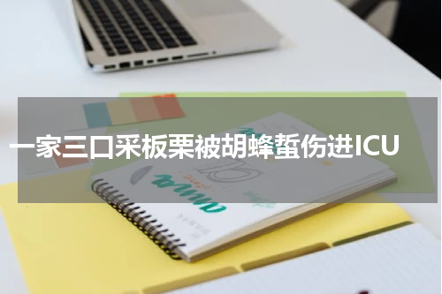 一家三口采板栗被胡蜂蜇伤进ICU