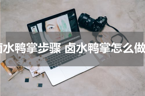 卤水鸭掌步骤 卤水鸭掌怎么做
