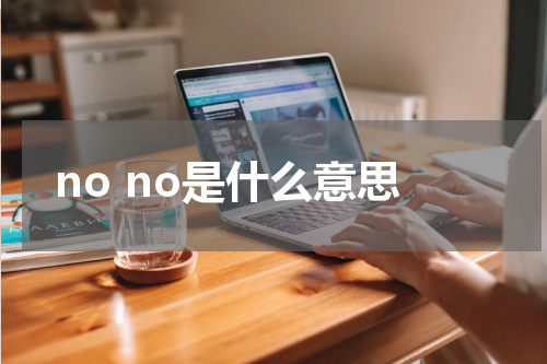 no no是什么意思