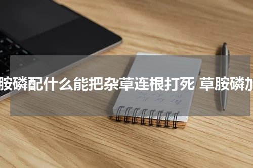 草胺磷配什么能把杂草连根打死 草胺磷加