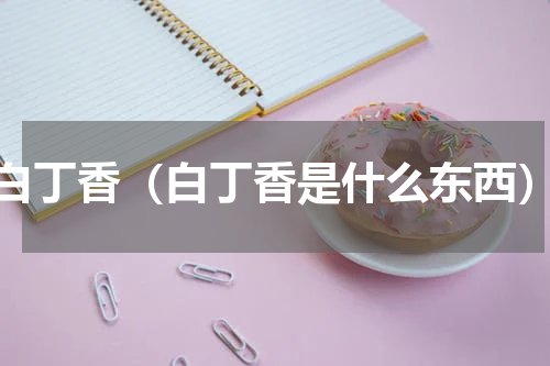 白丁香（白丁香是什么东西）