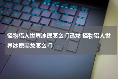 怪物猎人世界冰原怎么打迅龙 怪物猎人世界冰原黑龙怎么打