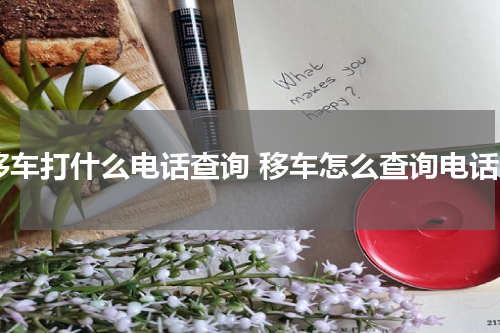 移车打什么电话查询 移车怎么查询电话