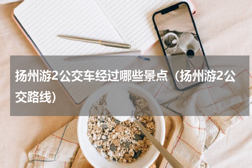 扬州游2公交车经过哪些景点（扬州游2公交路线）