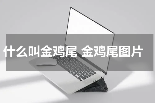 什么叫金鸡尾 金鸡尾图片