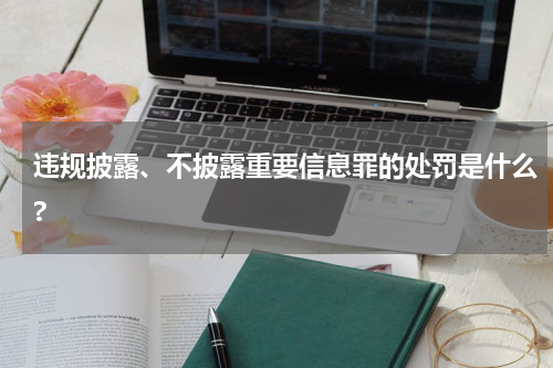 违规披露、不披露重要信息罪的处罚是什么?
