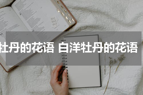 牡丹的花语 白洋牡丹的花语
