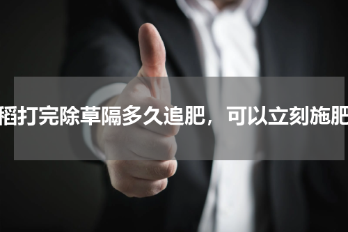水稻打完除草隔多久追肥，可以立刻施肥吗