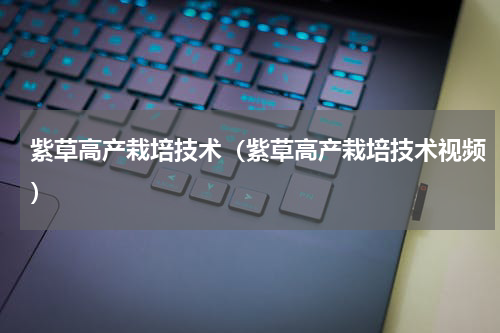紫草高产栽培技术（紫草高产栽培技术视频）