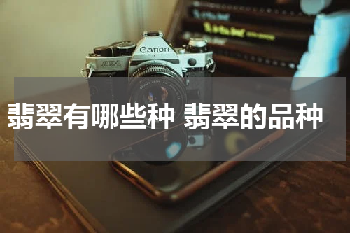 翡翠有哪些种 翡翠的品种