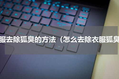 衣服去除狐臭的方法（怎么去除衣服狐臭）