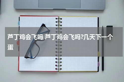 芦丁鸡会飞吗 芦丁鸡会飞吗?几天下一个蛋