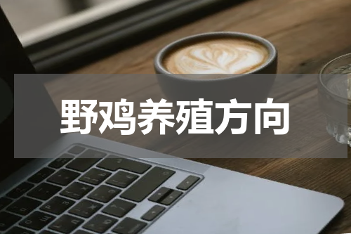 野鸡养殖方向