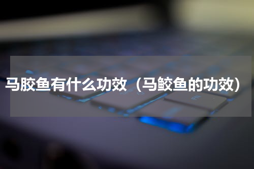 马胶鱼有什么功效（马鲛鱼的功效）