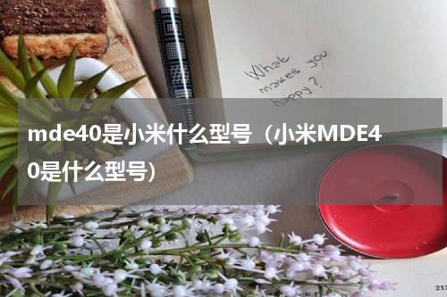 mde40是小米什么型号（小米MDE40是什么型号）