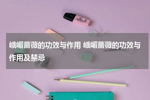 峨嵋蔷薇的功效与作用 峨嵋蔷薇的功效与作用及禁忌