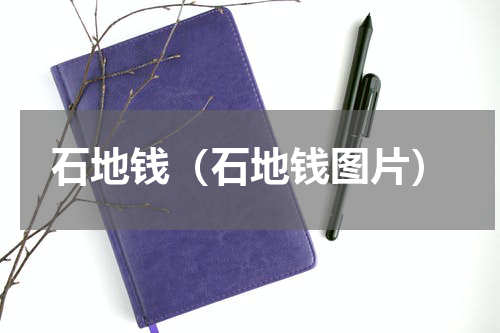 石地钱（石地钱图片）