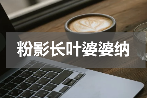 粉影长叶婆婆纳