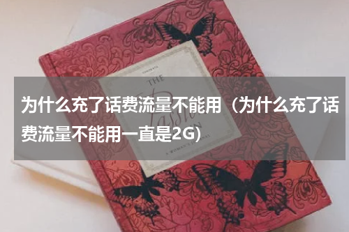 为什么充了话费流量不能用（为什么充了话费流量不能用一直是2G）