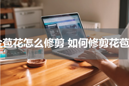 金苞花怎么修剪 如何修剪花苞